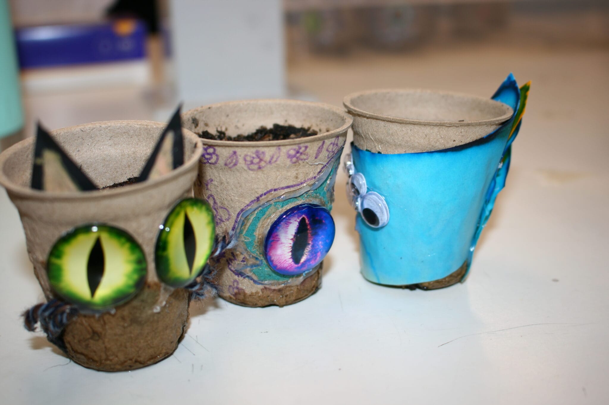 science science week seedling plantings (8)