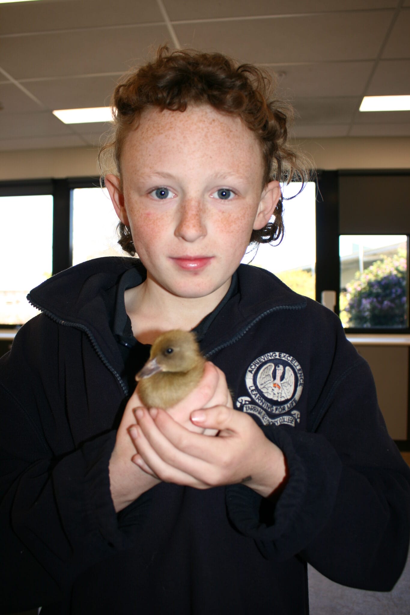 science science week ducklings (1)