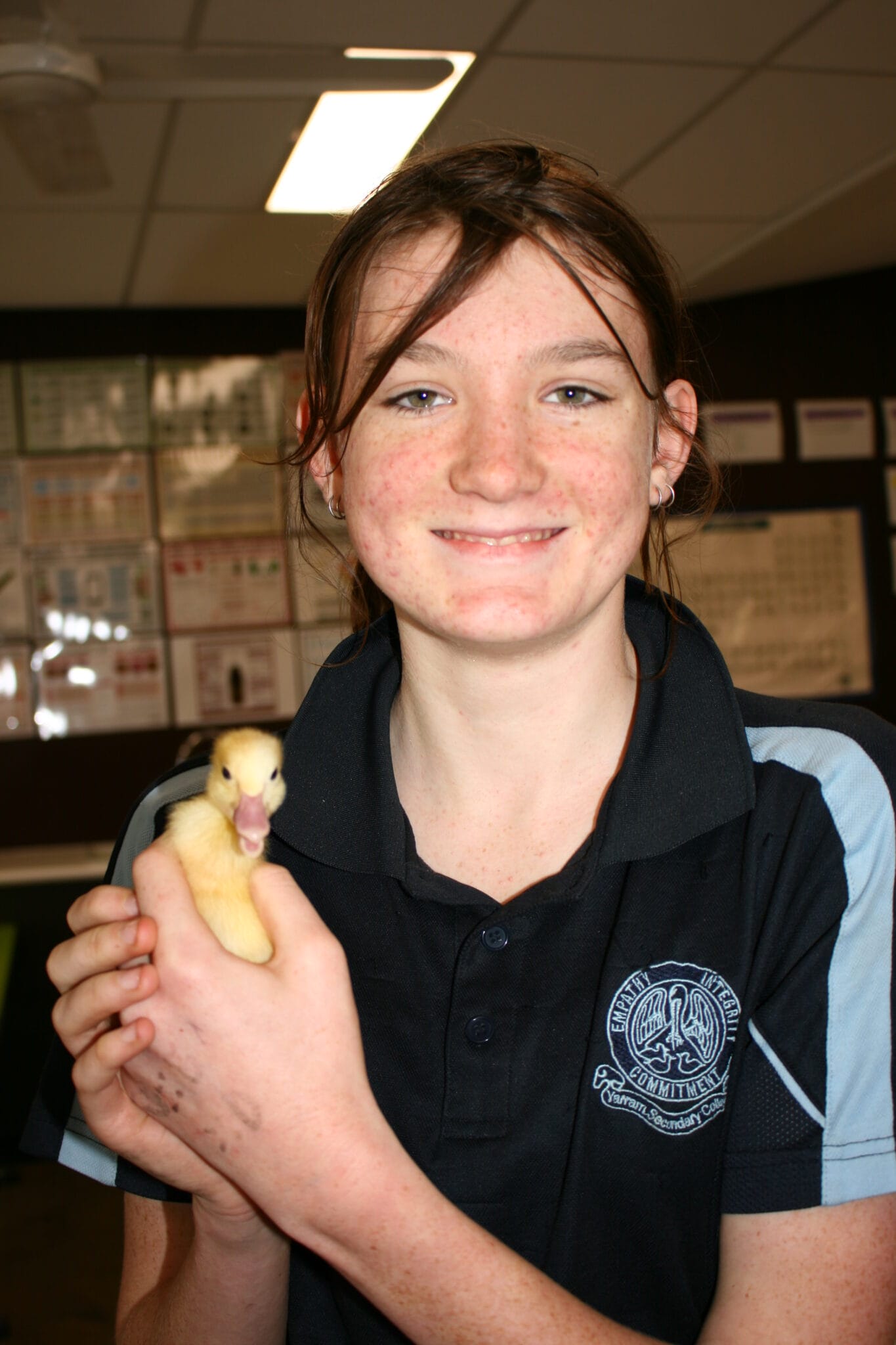 science science week ducklings (2)