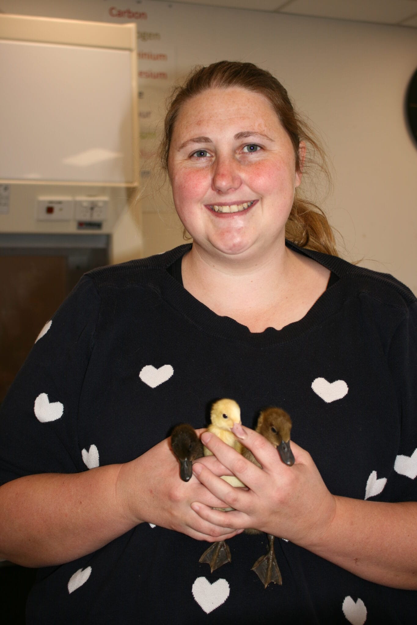 science science week ducklings (9)
