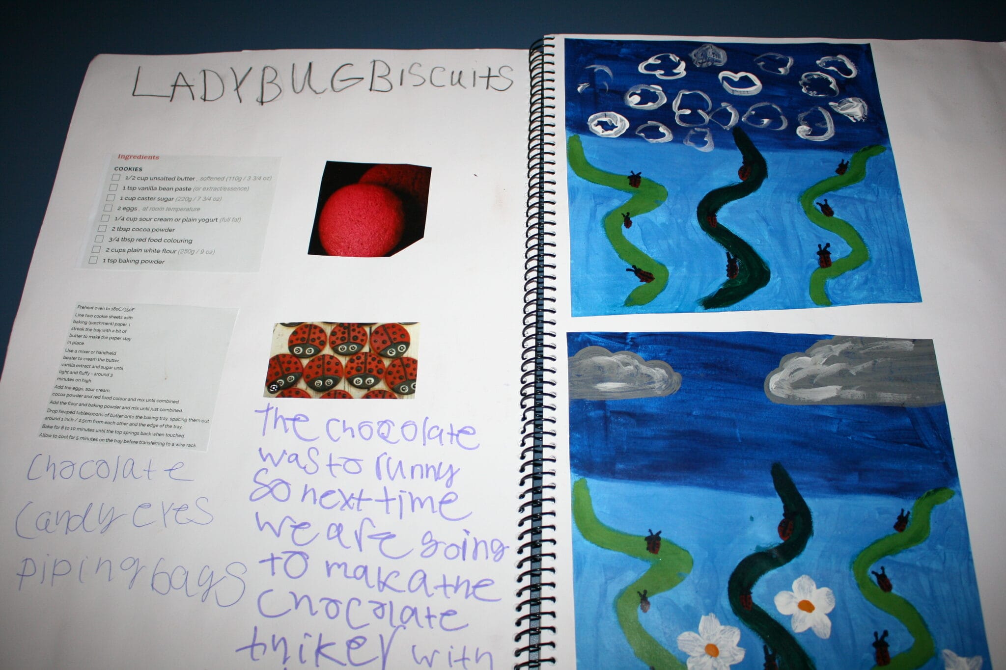 yr 11 jakara passion project (8)