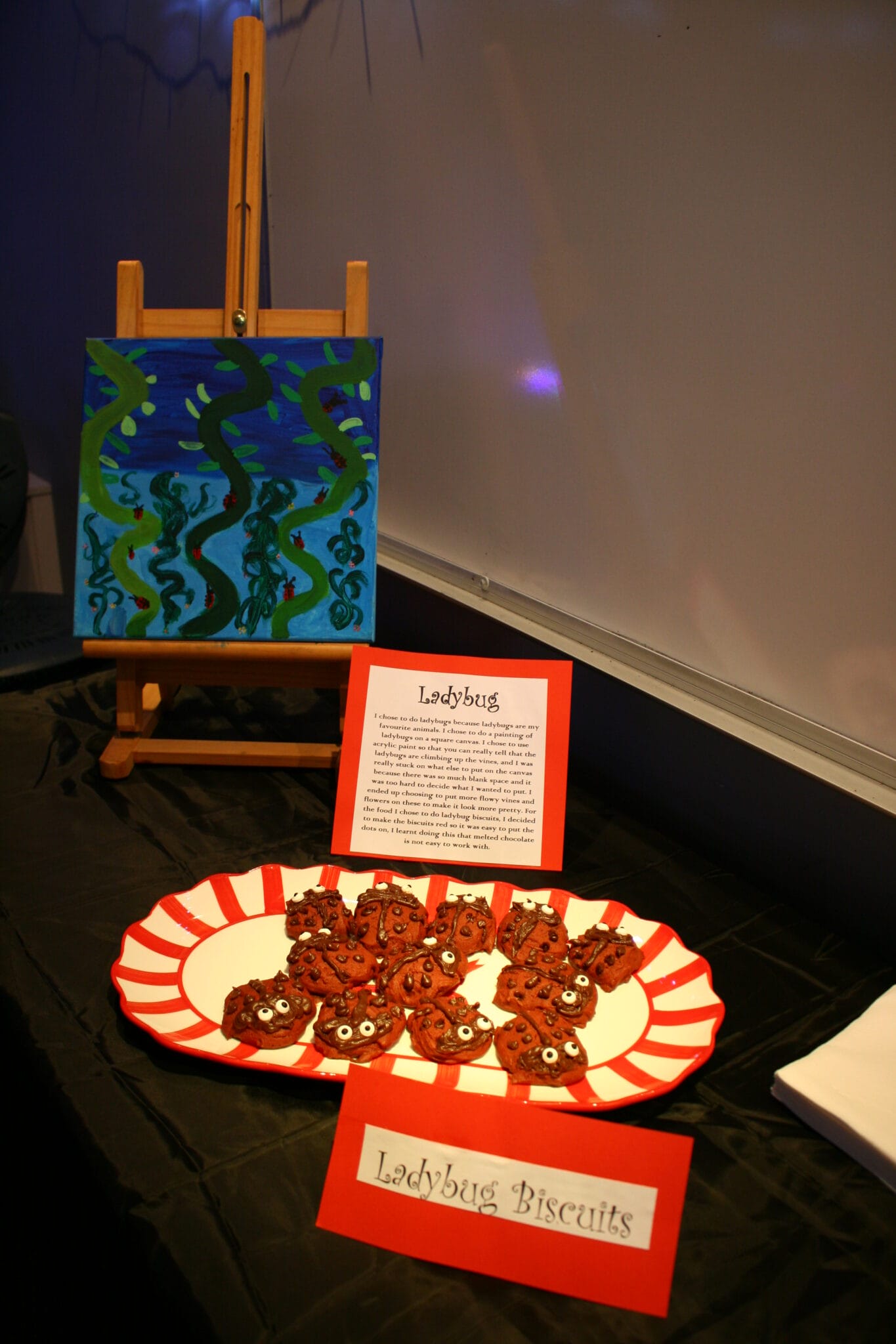 yr 11 jakara passion project (3)