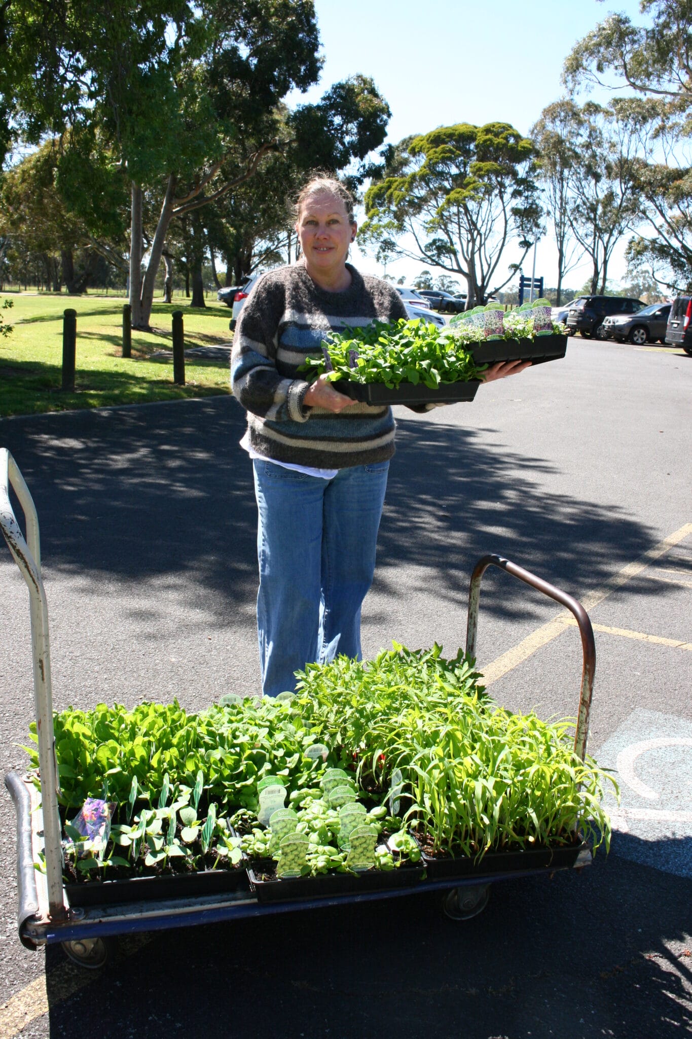 junior activities p2p herb pot prizes (3)